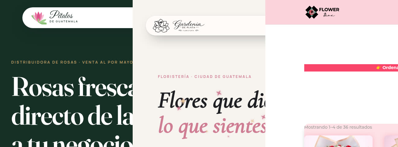 eCommerce y retail — tiendas online de marca