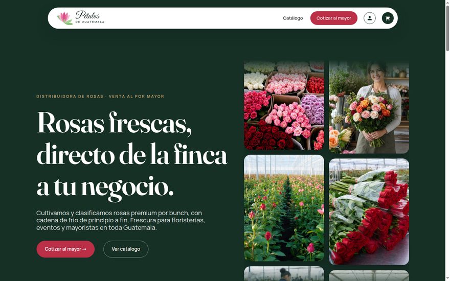Pétalos de Guatemala — venta de rosas al por mayor